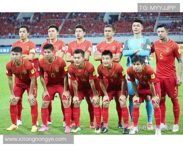 中国与伊朗精彩对决视频回顾及赛后分析全记录