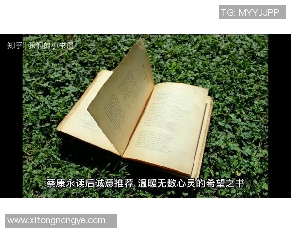 亚当斯的探索之旅：揭示科学与人文交汇的奥秘与启示